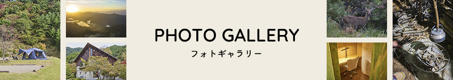 フォトギャラリー